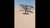 تعديات على أراضي مشروع الغابات الشجرية (2)