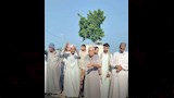 هدم مقابر مخالفة في الشرقية (5)