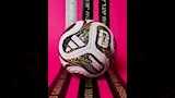 الكشف عن كرة نصف نهائي ونهائي كأس العالم (1)