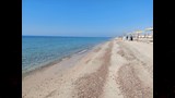 شواطئ طور سيناء