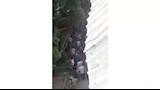 ضحايا مباراة مصر والأرجنتين