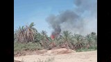 النيران تقترب من المنازل.. حريق بمزرعة نخيل في عزب القصر بالوادي الجديد- صور