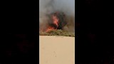 السنة النيران تلتهم نخيل بعزب القصر