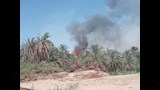 اندلاع حريق بمزراع نخيل بالقرب من المنازل بالداخلة