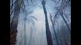 حريق قرية عزب القصر بمركز الداخلة
