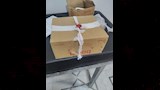 جانب من المضبوطات