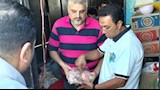 قبل بيعها للمواطنين.. ضبط 600 كيلو لحوم وأسماك ودواجن "فاسدة" بالدقهلية 