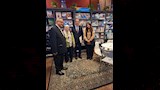 معرض مكتبة الإسكندرية الدولي (6)