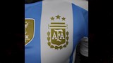 شعار منتخب الأرجنتين
