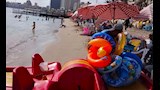 الرايات حمراء غرب الإسكندرية (6)
