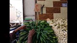 الخيار ب20 جنيه الكيلو
