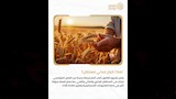 جهاز مستقبل مصر للتنمية المستدامة