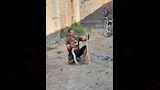 طه يمكسك كوبرا بقرية سنهور بالفيوم