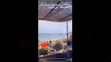 بوسي شلبي على انستجرام