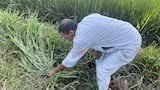 لحظات العمل في الحقل