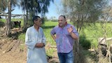 مراسل مصراوي يتحدث مع عم دسوق