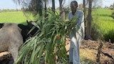 جانب من العمل