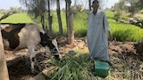 خلال عمل عم دسوقي