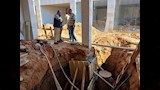 الإصلاح
