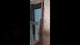  النمل الأبيض يهاجم منازل بالأقصر وتدخل عاجل للزراعة (3)