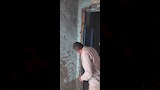  النمل الأبيض يهاجم منازل بالأقصر وتدخل عاجل للزراعة (2)