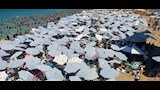 هروب جماعي لشواطئ الإسكندرية (6)