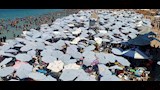 هروب جماعي لشواطئ الإسكندرية (13)