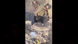 لحظة سرقة شخصين لكابلات الكهرباء بشبرا الخيمة  (3)
