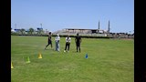 الاختبارت
