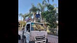 تقليم وزراعة أحواض الزينة بدمنهور (2)