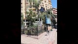 تقليم وزراعة أحواض الزينة بدمنهور (4)
