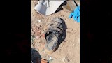 حصيلة ضحايا حادث عمال الإسماعيلية ترتفع إلى 18 متوفيًا (6)