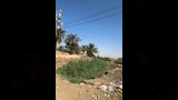 مصرع 3 أشخاص إثر انهيار حفرة تنقيب عن الآثار في الفيوم (3)