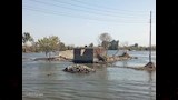 وزير الري يكشف ضوابط إقامة المماشي والمنشآت على الواجهات النيلية (4)