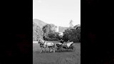 زفاف عمر مرموش (3)
