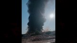 حريق يمتد لحضانة السيارات بالإسكندرية (2)