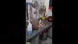 جانب من المضبوطات