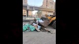 الجيزة تزيل تعديات على 150 فدانًا بالواحات (2)_2