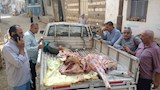 ضبط جزار يستخدم أختامًا صناعية على اللحوم (2)