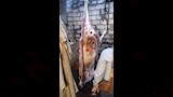 ضبط جزار يستخدم أختامًا صناعية على اللحوم (5)