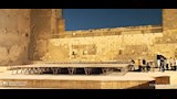مهرجان القلعة (9)