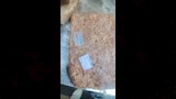 بحريات فاسدة في بورفؤاد ١