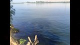ظهور بقعة زيت في نهر النيل بالقرب من الكرنك بالأقصر (4)_4