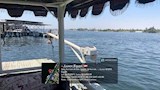 ظهور بقعة زيت بنهر النيل في الأقصر