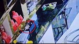 فأر يسرق مجوهرات1