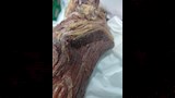ضبط لحوم ودواجن فاسدة داخل مصنع بالعبور في القليوبية (3)