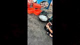 ضبط أغذية غير صالحة 