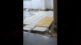 ضبط مصنع جبن غير مرخص