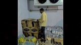 التحفظ على ربع طن دجاج وجبن منتهية الصلاحية بالأقصر (3)