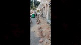 بدء تطوير شارع إبراهيم باشا بمصر الجديدة